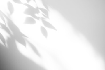 shadow overlay effects of realistic abstract natural tree leaves shadow on transparent background,Summer sunlight and shadow overlay effect,shadow for photo interior backdrop studio mockup