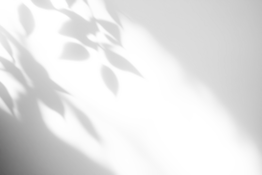 shadow overlay effects of realistic abstract natural tree leaves shadow on transparent background,Summer sunlight and shadow overlay effect,shadow for photo interior backdrop studio mockup