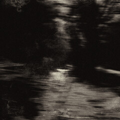 Grunge scary forest, spooky nature wallpaper