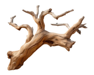 Dry tree branch with no leaves rustic wood element natural texture isolated on transparency background weathered decorative organic artistic unique shape