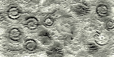 Monochromatic Ammonite Fossil Texture