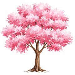 Obraz premium Beautiful pink cherry blossom tree illustration on transparent background
