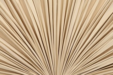Abstract close-up of light brown wooden sticks in fan-like arrangement, Close up dried fan shaped