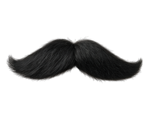 Black mustache isolated straight side view object realistic hair texture classic style humor facial hair on transparency background