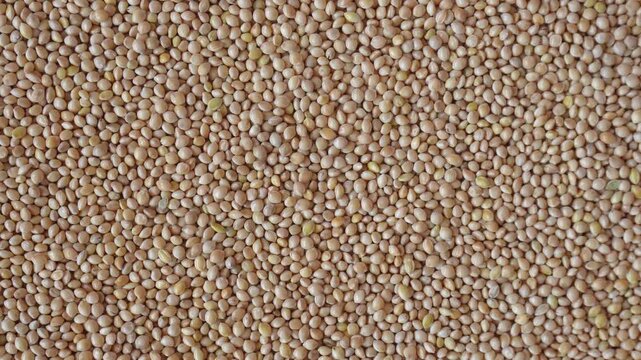 Rotating heap of white millet grains. Organic seed texture and natural food background