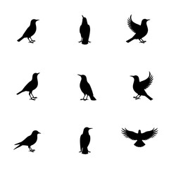 Fototapeta premium birds silhouettes vector