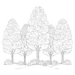Tree Root System Cross-Section Vector Urban Landscaping, Arboriculture & Soil Illustration
