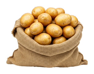 Harvesting fresh organic potatoes from local farms rustic setting food natural light isolated PNG