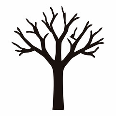 Fototapeta premium Silhouette of a leafless tree with bare branches against a white background