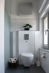 modern bathroom featuring a sleek white toilet with a chrome flush panel, a stylish plant on top of the cistern, neatly stacked toilet paper in a wooden basket, and a clean tiled backdrop