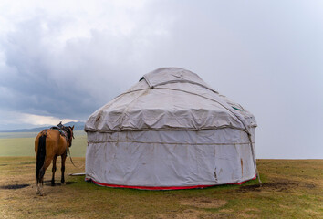 Traditional white yurt with a horse and dog nearby on a cloudy rainy day