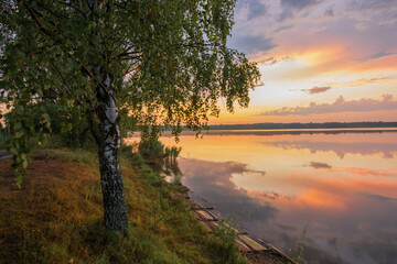 amazing lake in the forest 