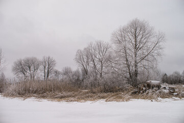 Winter landscape with bare trees, snow-covered ground and cloudy sky, peaceful frosty scene.