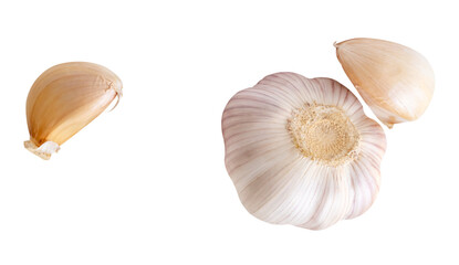 Top view set of one unpeeled garlic bulb and two garlic cloves isolated with clipping path in png...