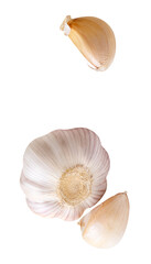 Top view set of one unpeeled garlic bulb and two garlic cloves isolated on white background with clipping path.