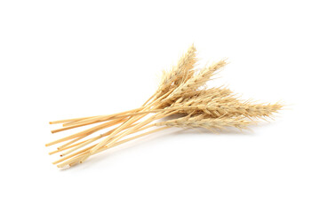 Dried spikes of wheat isolated on white