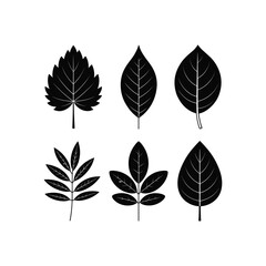 Obraz premium Set of six stylized black leaf silhouettes on white background