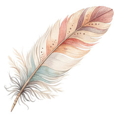 Hand-painted watercolor feather on transparent background for bohemian invitations, wedding stationery, artistic posters and decorative projects