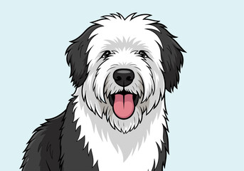 A close-up portrait of a fluffy Old English Sheepdog with its tongue out, looking happy and friendly.