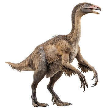 The bizarre Deinocheirus a giant ornithomimosaur dinosaur isolated on a transparent background png