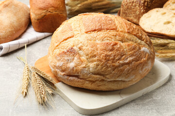 Different types of bread and wheat spikes on grey table, closeup