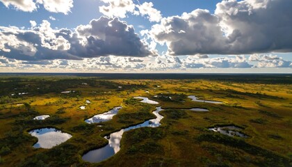 Aerial View of Marshland with Pools Reflecting Cloudy Sky