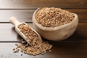 Wheat grains in bowl and scoop on wooden table, closeup