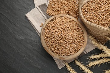 Wheat grains in bowl, burlap bag and spikes on black table, flat lay. Space for text