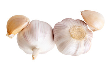 Top view of two garlic bulbs and two garlic cloves in heap isolated with clipping path in png file format