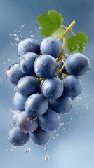 Delightful bunch of fresh grapes surrounded by splashes of water
