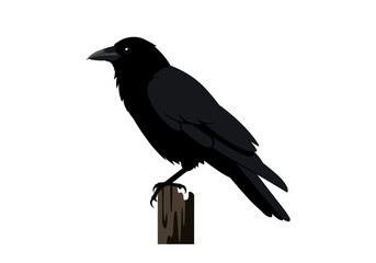 Obraz premium Black crow perches on a wooden post against a white backdrop