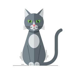 Cat vector design motion graphics