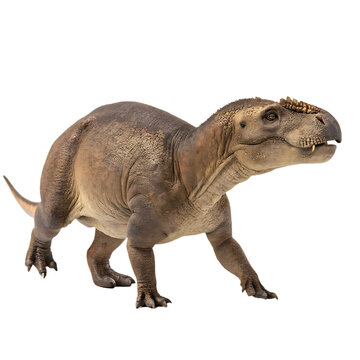 Lystrosaurus prehistoric dicynodont therapsid from Permian isolated on a transparent background png