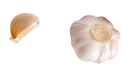 Top view set of one unpeeled garlic bulb and one garlic clove isolated with clipping path in png...