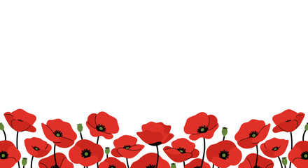Red poppy flowers in a decorative border design on transparent background  