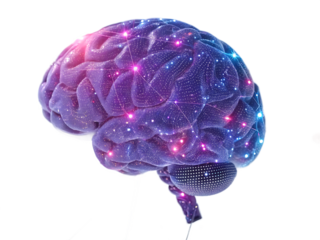 Human Brain Illustration with Neural Network Connections and Glowing Synapses for Artificial Intelligence Concepts
