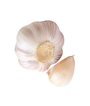Top view set of one unpeeled garlic bulb and one garlic clove isolated with clipping path in png file format