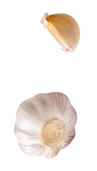 Top view set of one unpeeled garlic bulb and one garlic clove isolated with clipping path in png file format