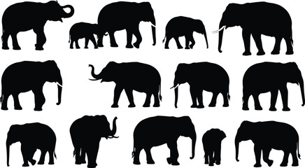 Elephant silhouettes collection, wild animal illustrations, jungle wildlife art, safari elephant shapes, black vector elephants, family group silhouettes, nature design