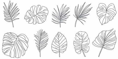 Set of ten tropical palm and monstera leaves line art illustrations in minimalist continuous stroke style isolated on white background for botanical design elements and nature themes