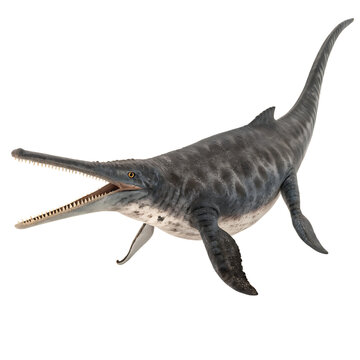 Shonisaurus a giant ichthyosaur marine reptile from Triassic isolated on a transparent background png