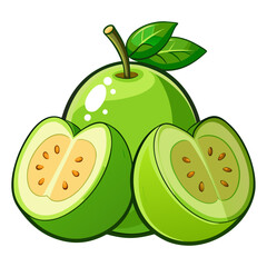 vector illustration of a guava