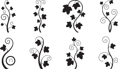 Black ivy vine flourishes with swirling tendrils and leaves