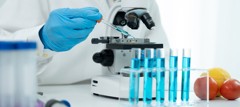 Scientist check chemical whole grains residues in laboratory. Control experts inspect the concentration of chemical residues. hazards, standard, prohibited substances, contaminate, Microbiologist
