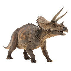 Obraz premium The three horned dinosaur Triceratops from Cretaceous isolated on a transparent background png