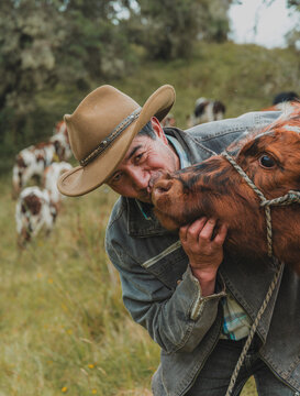 Hombre de mediana edad organizando sus vacas en la finca de Toquilla, Boyac&aacute;