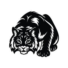 Silhouette of a Predatory Bobcat in a Stalking Posture on White Background