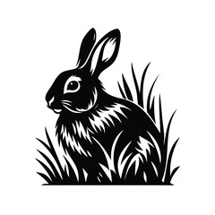 Silhouette of a Rabbit in the Grass with Long Ears and Fur