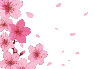 Fototapeta premium A flat vector illustration of pink cherry blossom (sakura) flowers