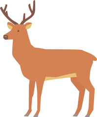 Deer vector illustration